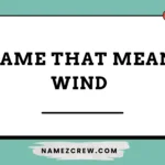 name that mean wind