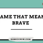 name that mean brave