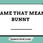name that mean bunny