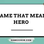 name that mean hero