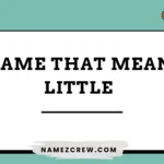 name that mean little
