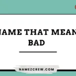 names that mean bad