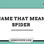 names that mean spider