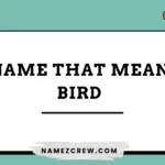 names that mean bird
